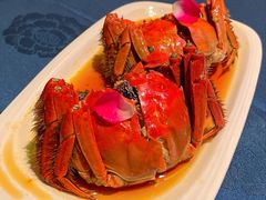 -老吉堂上海本帮菜(工体店)