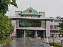 -打洛口岸