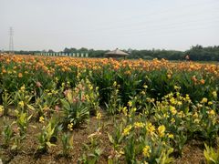 -那考河湿地公园