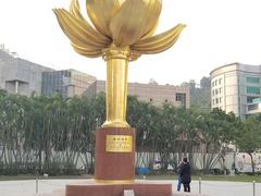 -金莲花广场