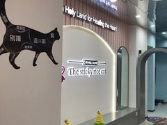 -糯米喵星人·撸猫猫舍咖啡馆(西市场嘉华店)