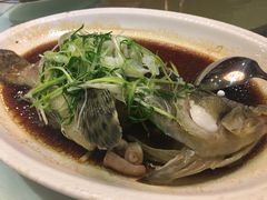 青斑-益利大酒楼(井岸店)