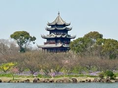 -上海海湾国家森林公园