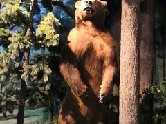 -陕西自然博物馆