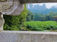 -龙头寺公园