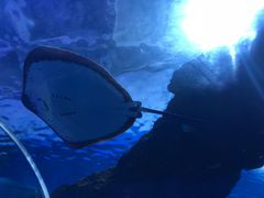 -多彩贵州城极地海洋世界