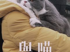 -瑞鹏宠物医院·眼科·皮肤·中兽医(大悦城分院)