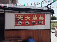 -青浦采草莓天天草莓园