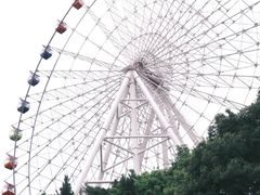 -温州乐园