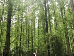 -上海怡沁园度假酒店