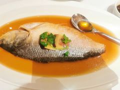 -醉辉皇上海之巅(上海中心大厦店)