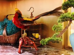 -雀蓝川菜(奥体广场店)