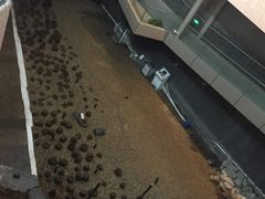 -元代水闸遗址博物馆