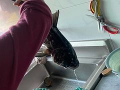 -鱼味馆(万佛湖店)
