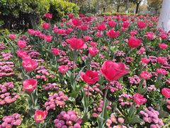 -杭州师范大学(下沙校区)