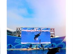 -上海海昌海洋公园