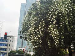 -左撇子私房面