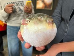 -永安鱼庄·镇江菜(东吴路店)