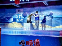-顺德南宏海立方海洋公园