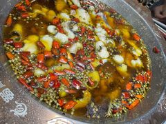 -雲蜀龙阁·金牌水煮鱼(方庄店)