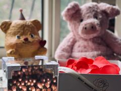 -亦家cake·0卡糖