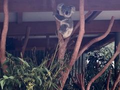 -费瑟代尔野生动物园