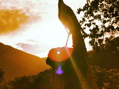 -陕西省红河谷森林公园