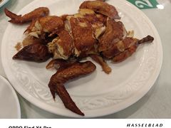 -南来顺饭庄·清真(南菜园店)