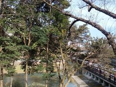 -温江公园