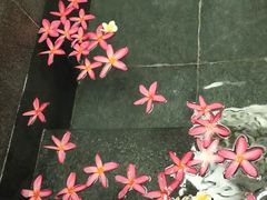 -厦门日月谷温泉渡假村