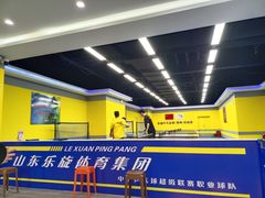 -乐旋乒乓球(郑州一站广场店)