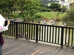 -七星潭蓝天广场