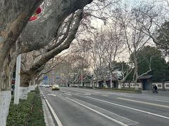 -桃花源精菜馆(玉泉路店)