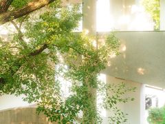 -湖北美术学院(昙华林校区)