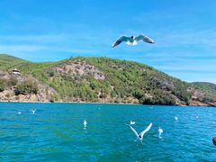 -丽江泸沽湖景区