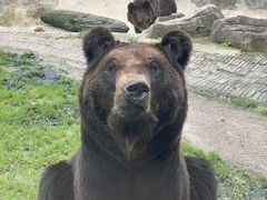 -黔灵山公园