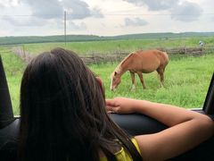 -塞罕坝国家级自然保护区