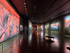 -罗红摄影艺术馆