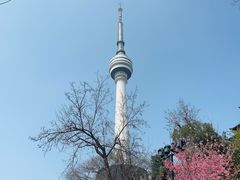 -龟山风景区-龟山电视塔