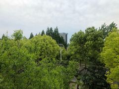 -上海浦东康桥绿地假日酒店