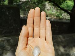 -香山公园