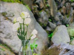 -MOJ coffee(瓯海泽雅水碓坑店)