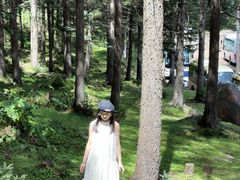 -芦芽山旅游度假区