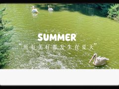 -北京动物园