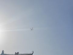 -茯茶镇