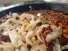 -金三可市井水煮鱼(金碧园店)