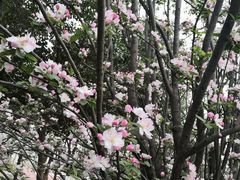 -西安汉城湖景区