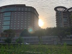 -神仙树公园