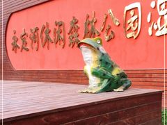 -永定河休闲森林公园