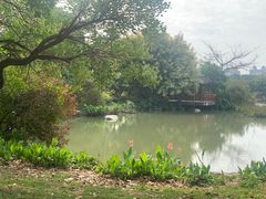 -海珠湖公园